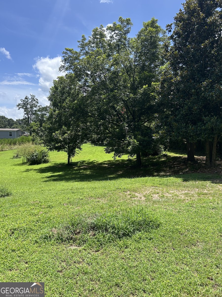 176 Bud Freeman Road Royston - Photo 13