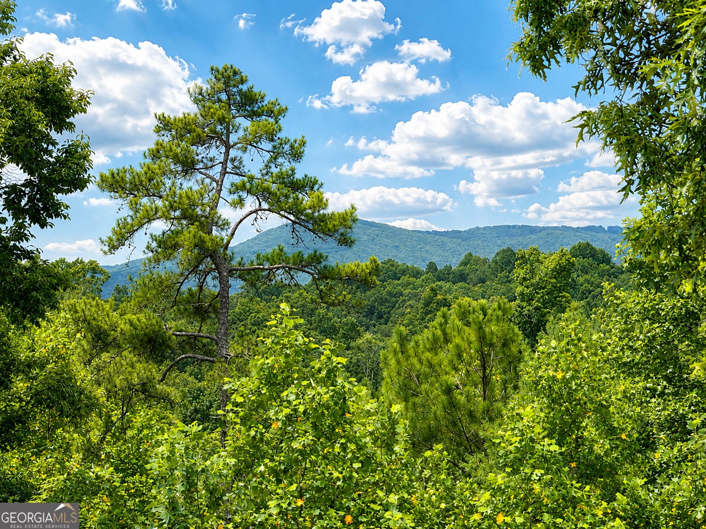 1046 Crossroads Church Road Ellijay - Photo 55