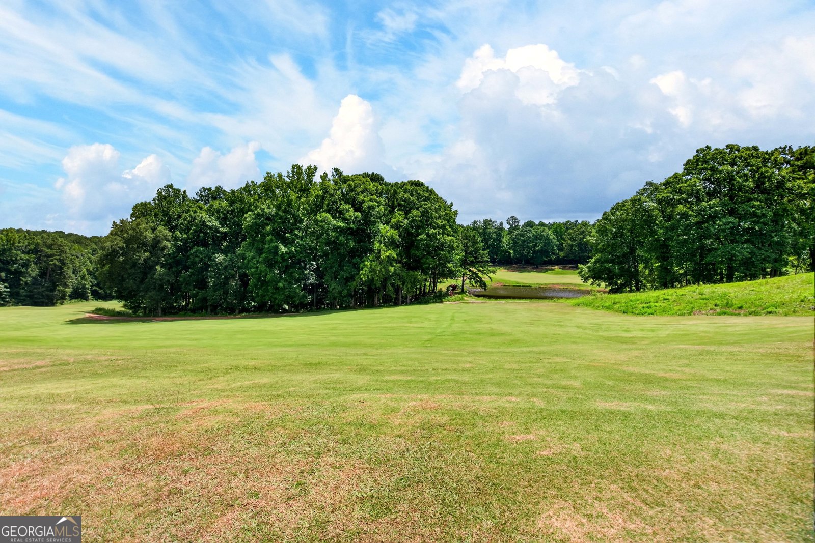 113 Prestwick Drive Lagrange - Photo 38