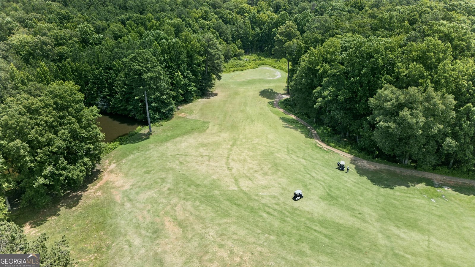 113 Prestwick Drive Lagrange - Photo 39