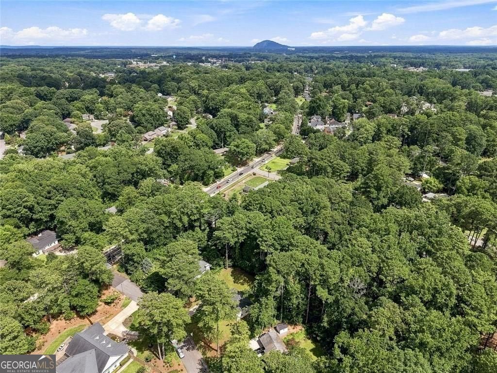 2999 Pine Orchard Drive Tucker - Photo 34