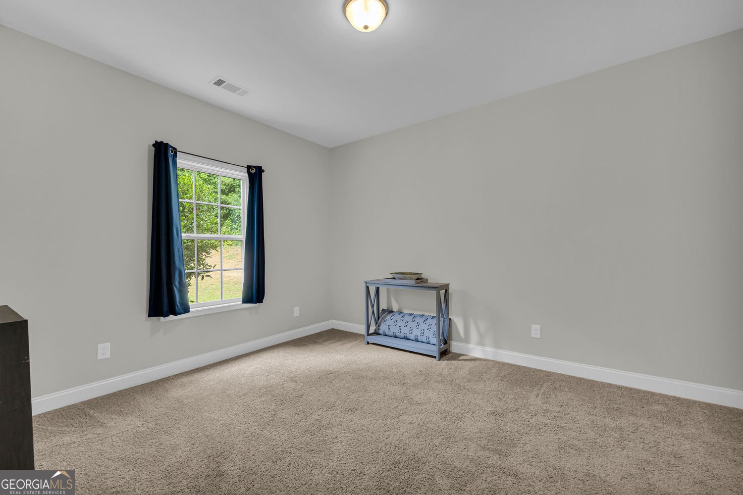 662 Carla Court Winder - Photo 25