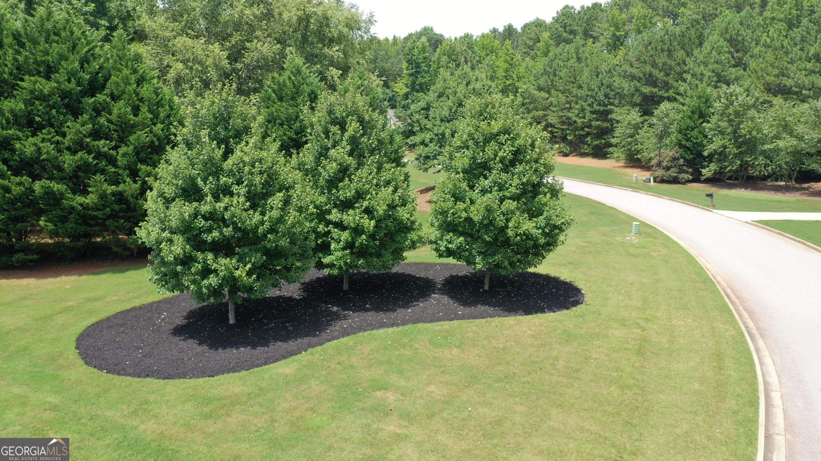 135 Magnolia Place Drive Senoia - Photo 137