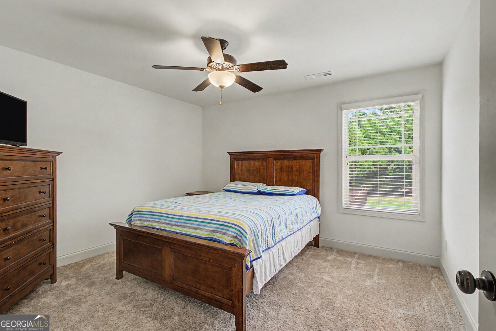 135 Magnolia Place Drive Senoia - Photo 43