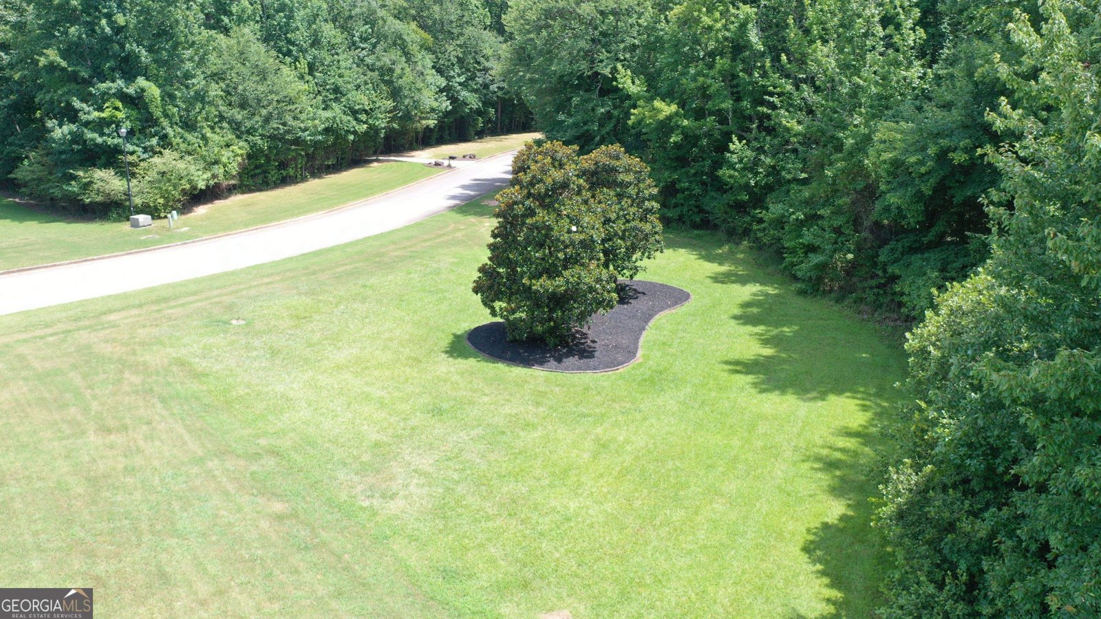 135 Magnolia Place Drive Senoia - Photo 85
