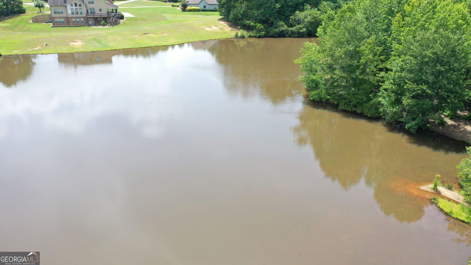 135 Magnolia Place Drive Senoia - Photo 88