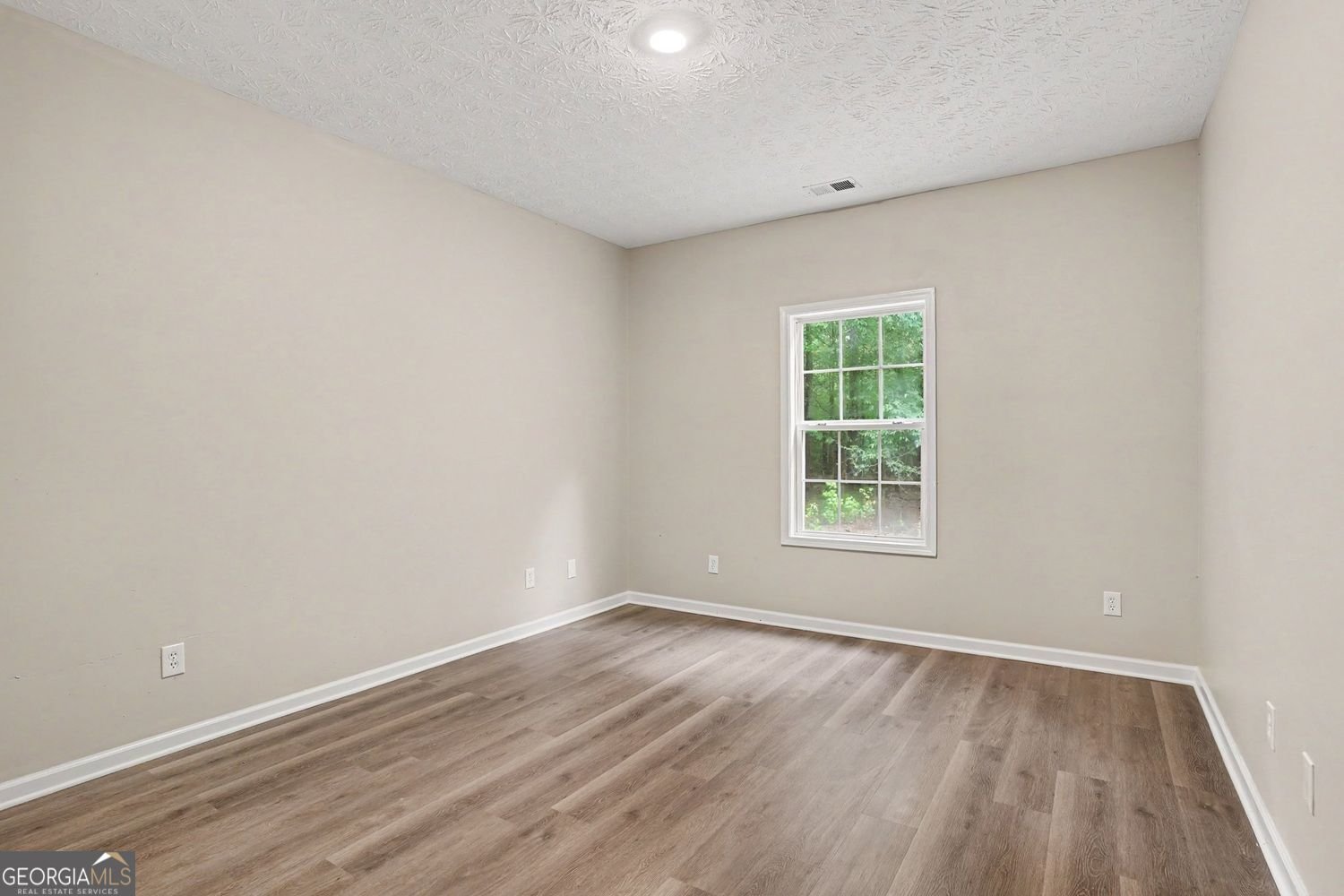 1279 Coan Drive Locust Grove - Photo 12