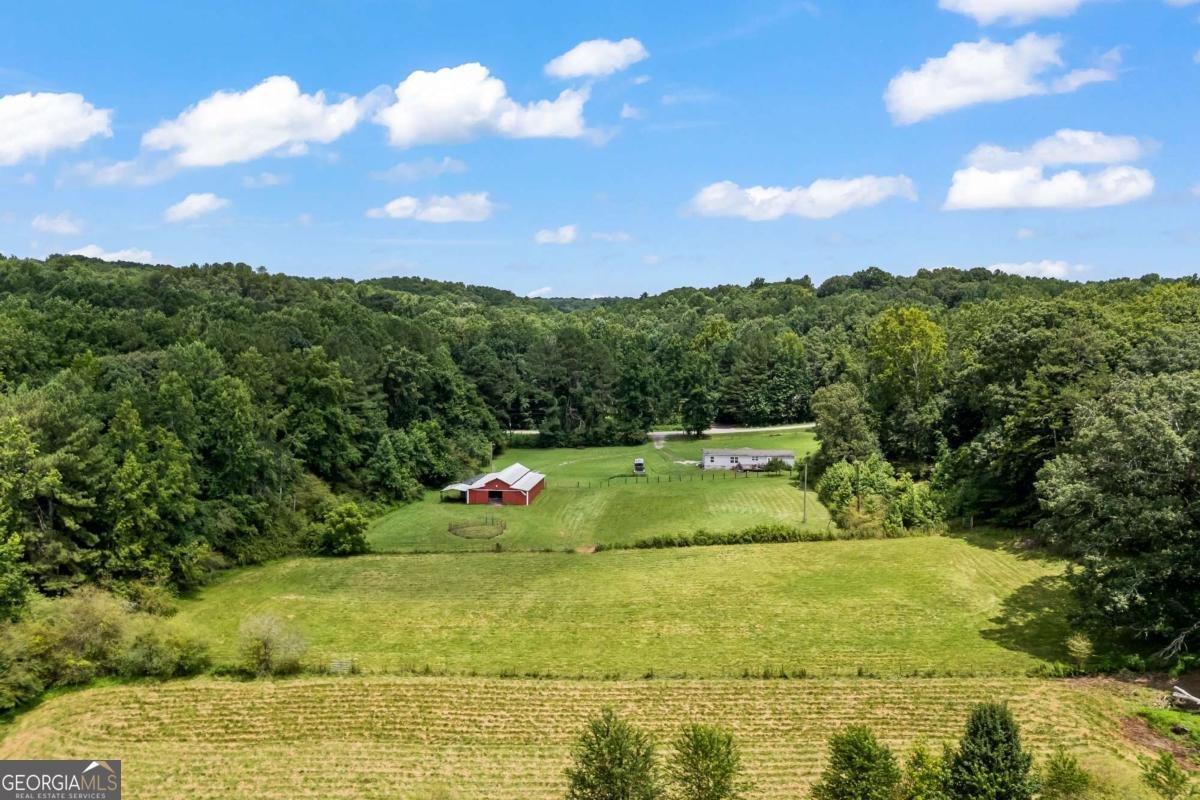 1206 Thompson Road Dawsonville - Photo 50