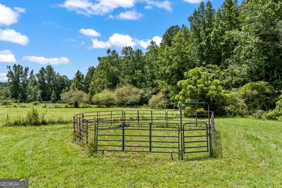 1206 Thompson Road Dawsonville - Photo 52