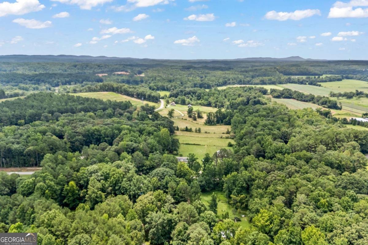 1206 Thompson Road Dawsonville - Photo 56