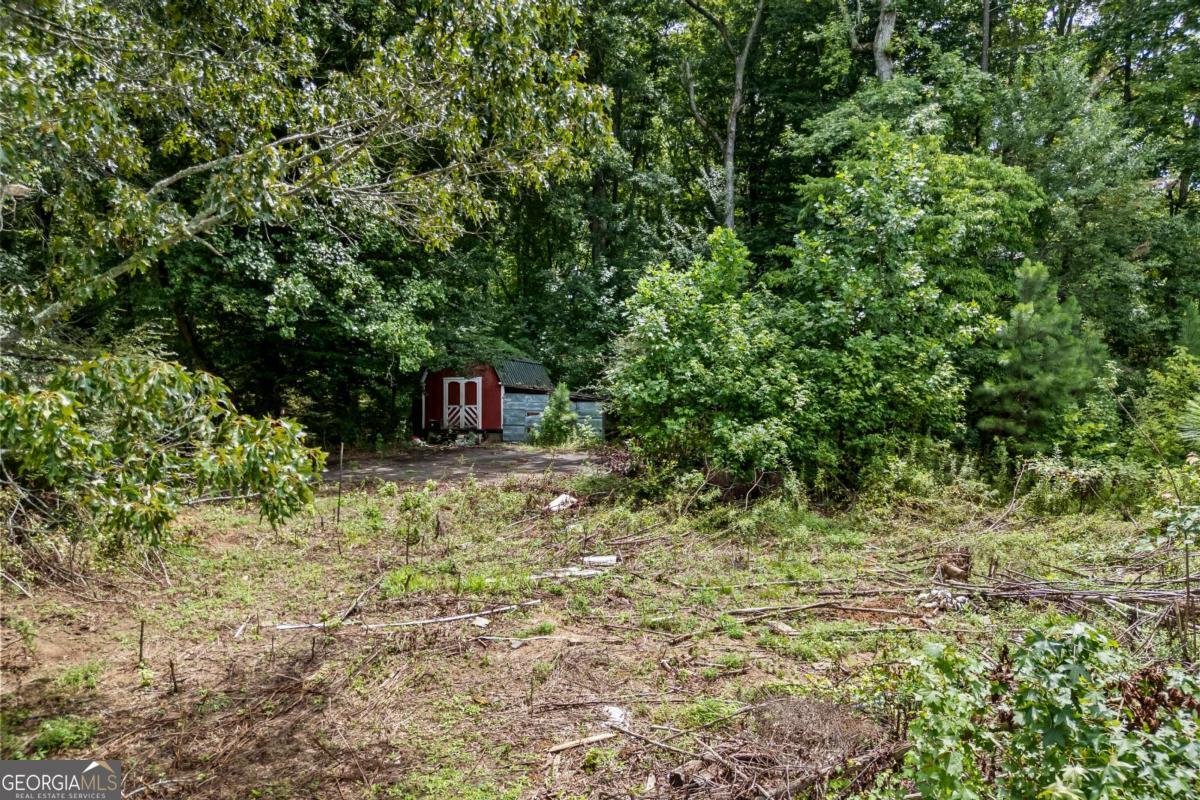 1206 Thompson Road Dawsonville - Photo 58