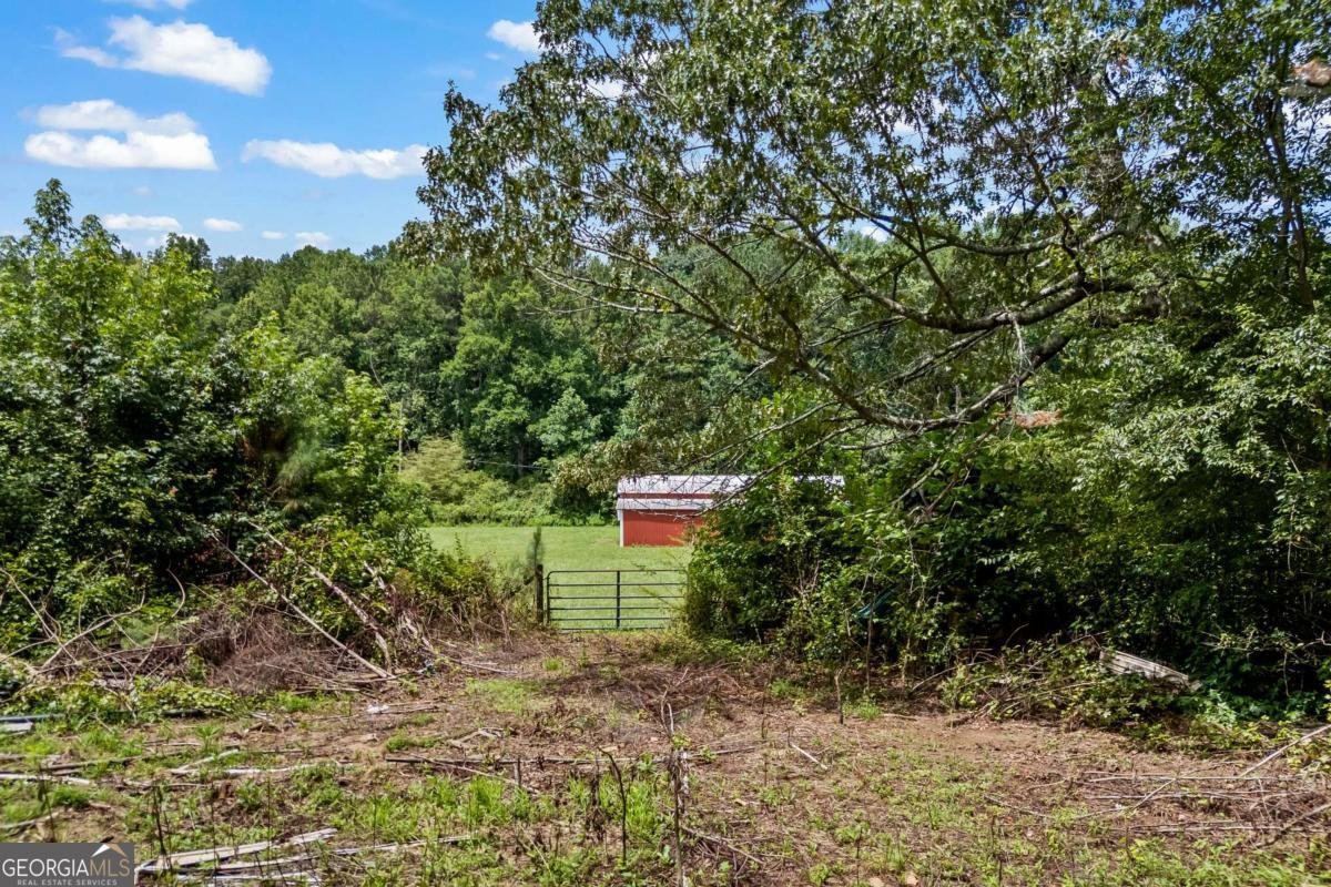 1206 Thompson Road Dawsonville - Photo 60