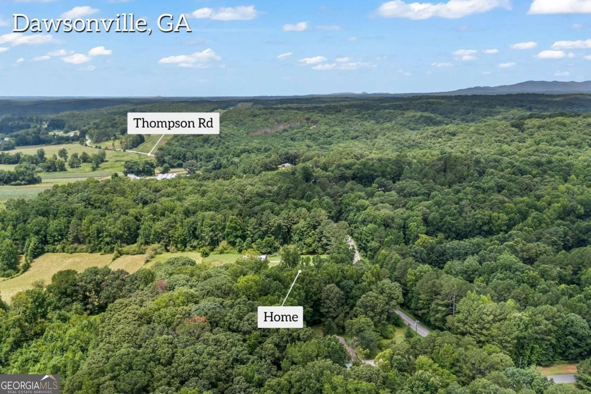1206 Thompson Road Dawsonville - Photo 63