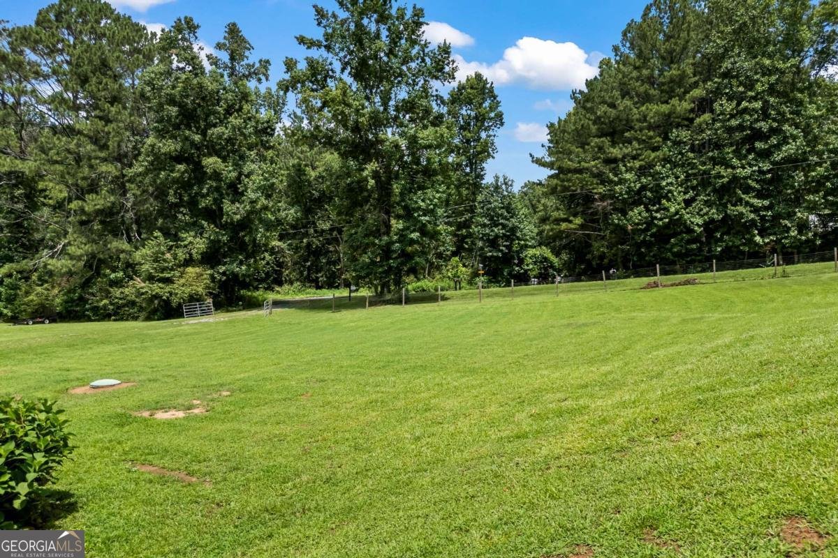 1206 Thompson Road Dawsonville - Photo 69