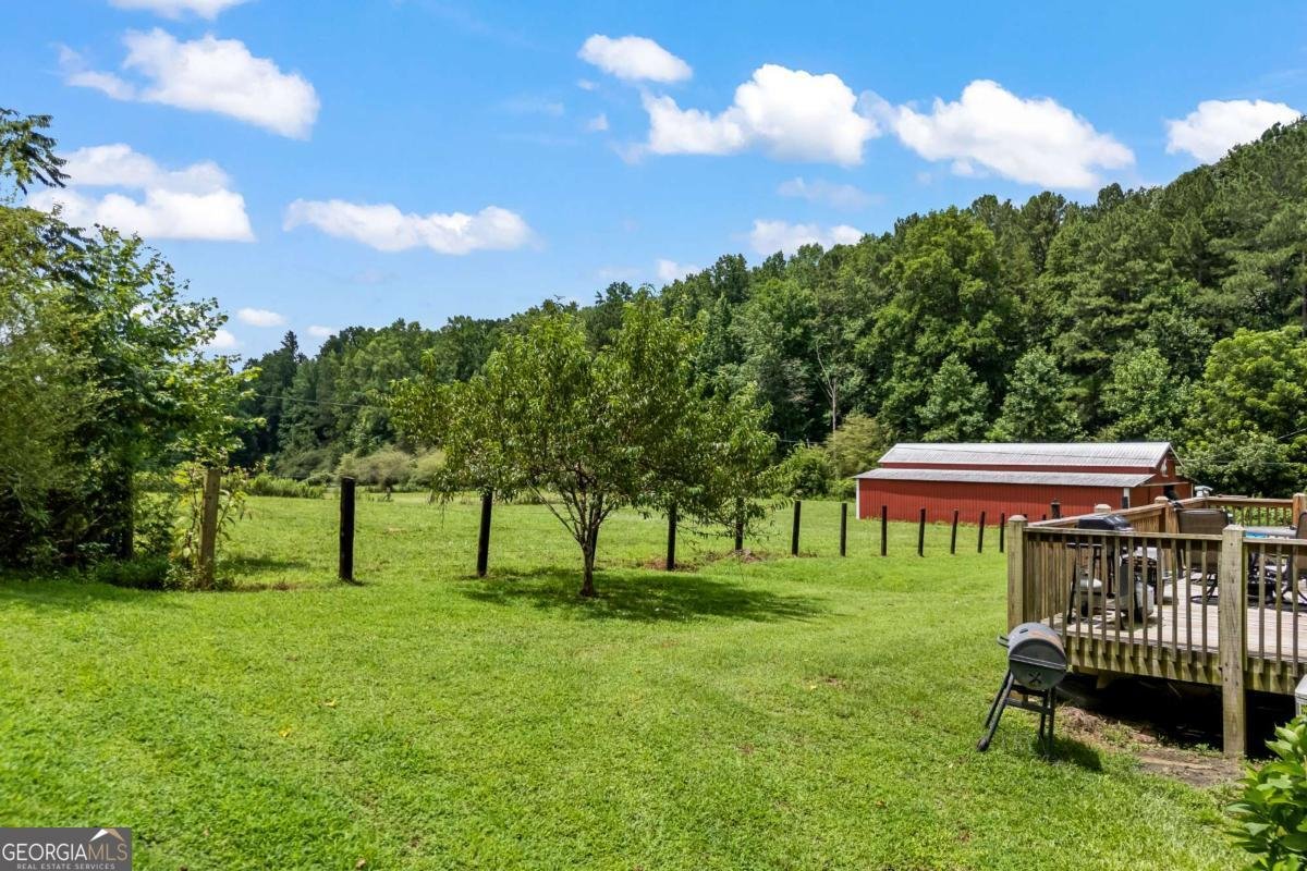 1206 Thompson Road Dawsonville - Photo 70
