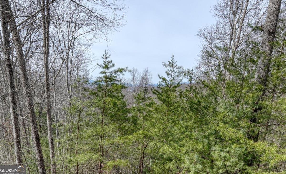 76 Channing Hollow Morganton - Photo 30