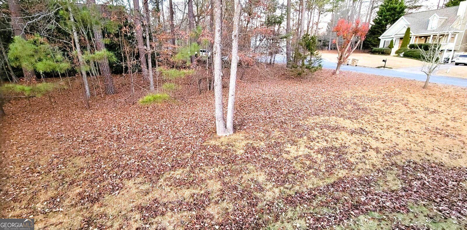 4115 Chelsea Chase Cumming - Photo 44