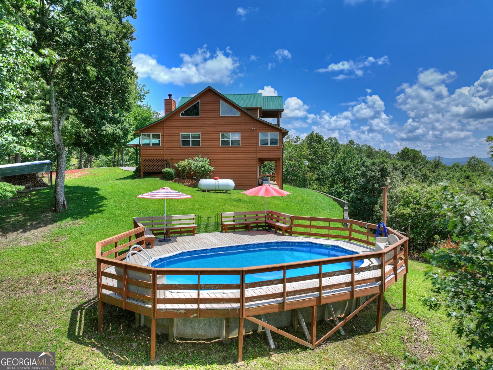 55 Beauregards Knob Ellijay - Photo 61