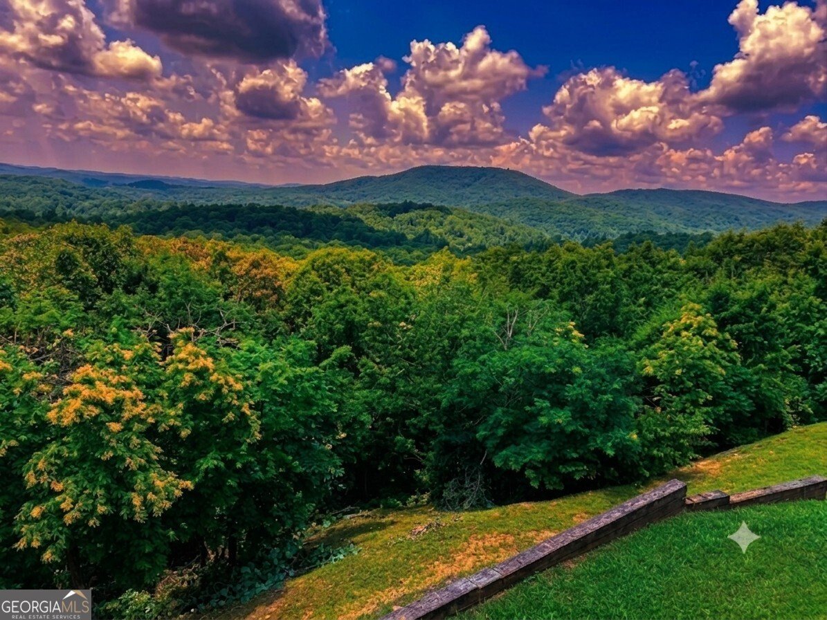 55 Beauregards Knob Ellijay - Photo 71