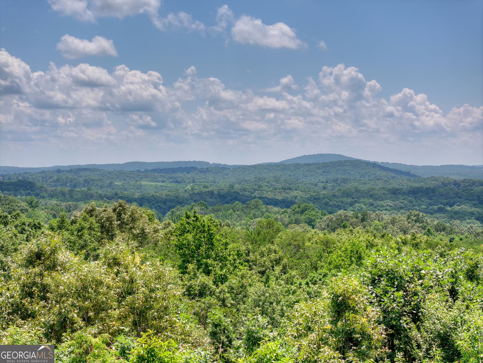 55 Beauregards Knob Ellijay - Photo 75