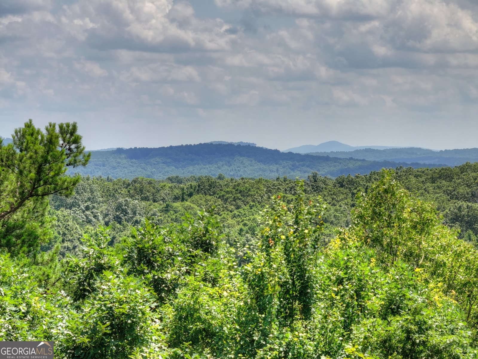 55 Beauregards Knob Ellijay - Photo 76
