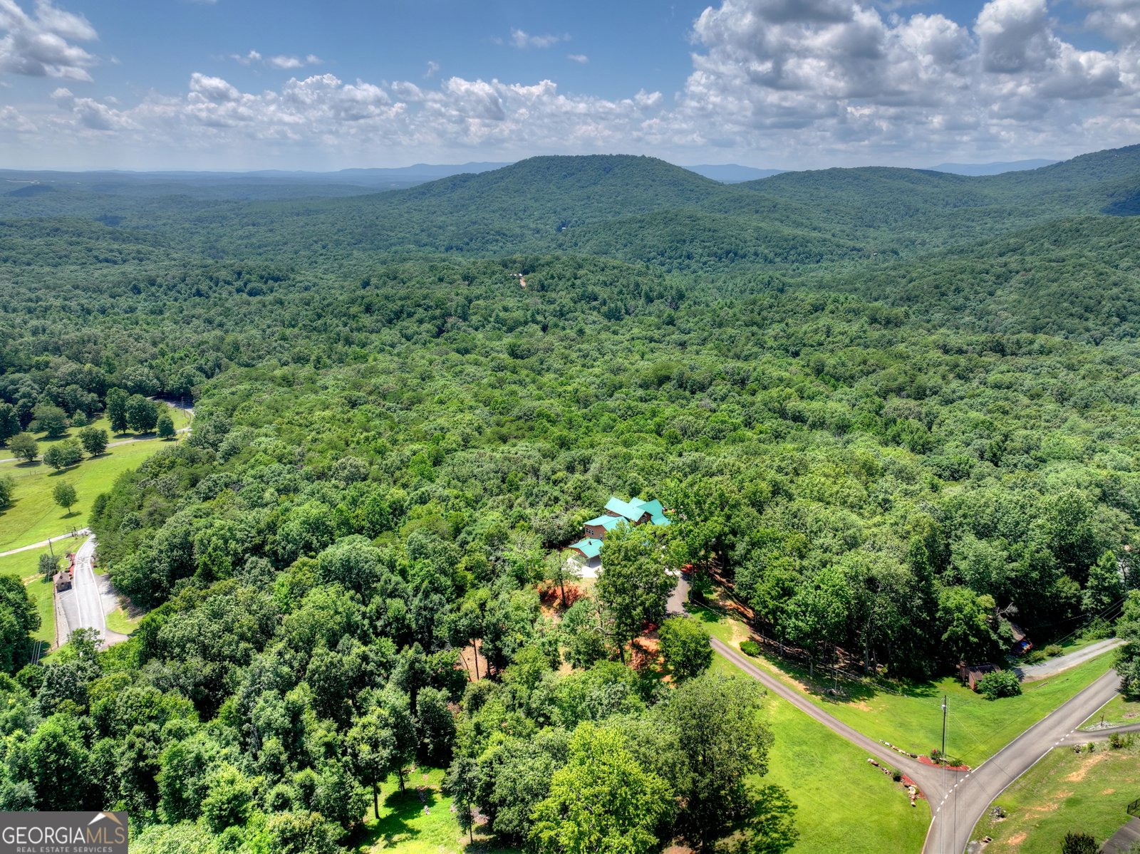 55 Beauregards Knob Ellijay - Photo 77
