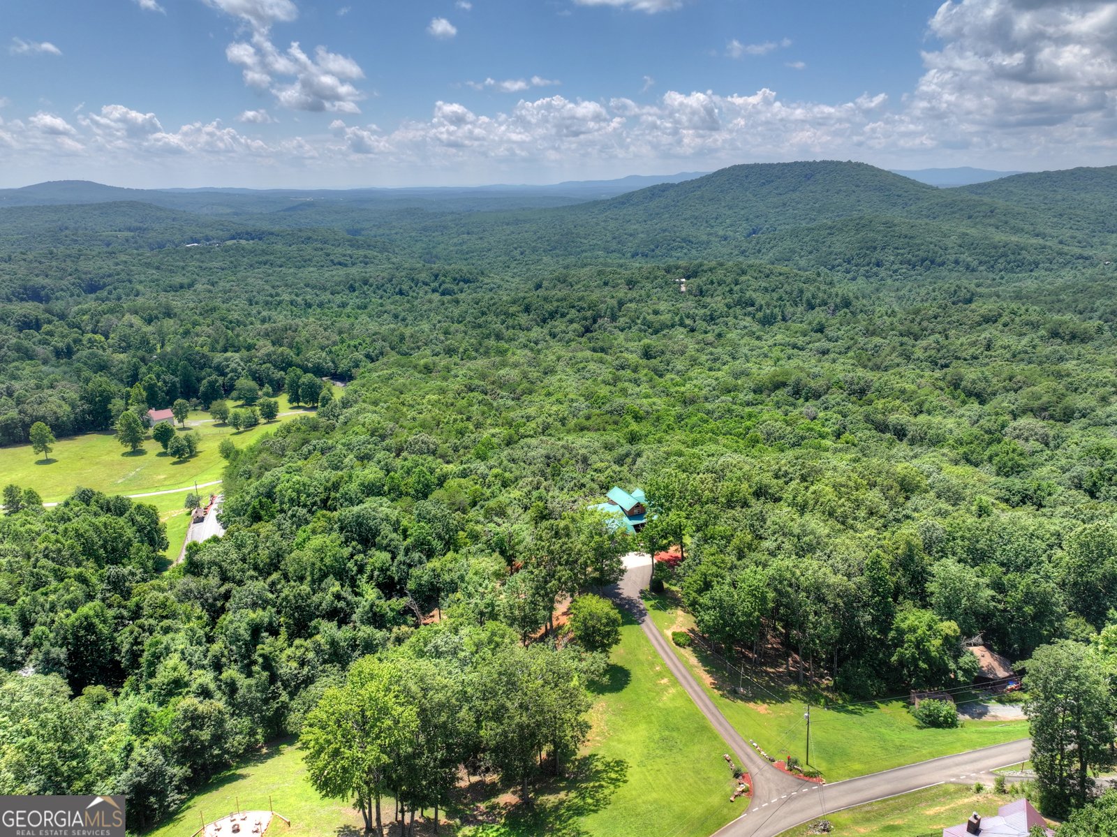 55 Beauregards Knob Ellijay - Photo 78