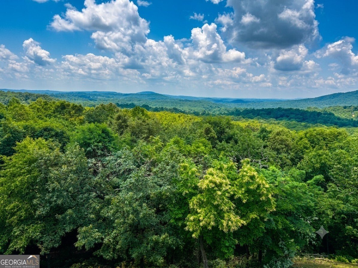 55 Beauregards Knob Ellijay - Photo 79