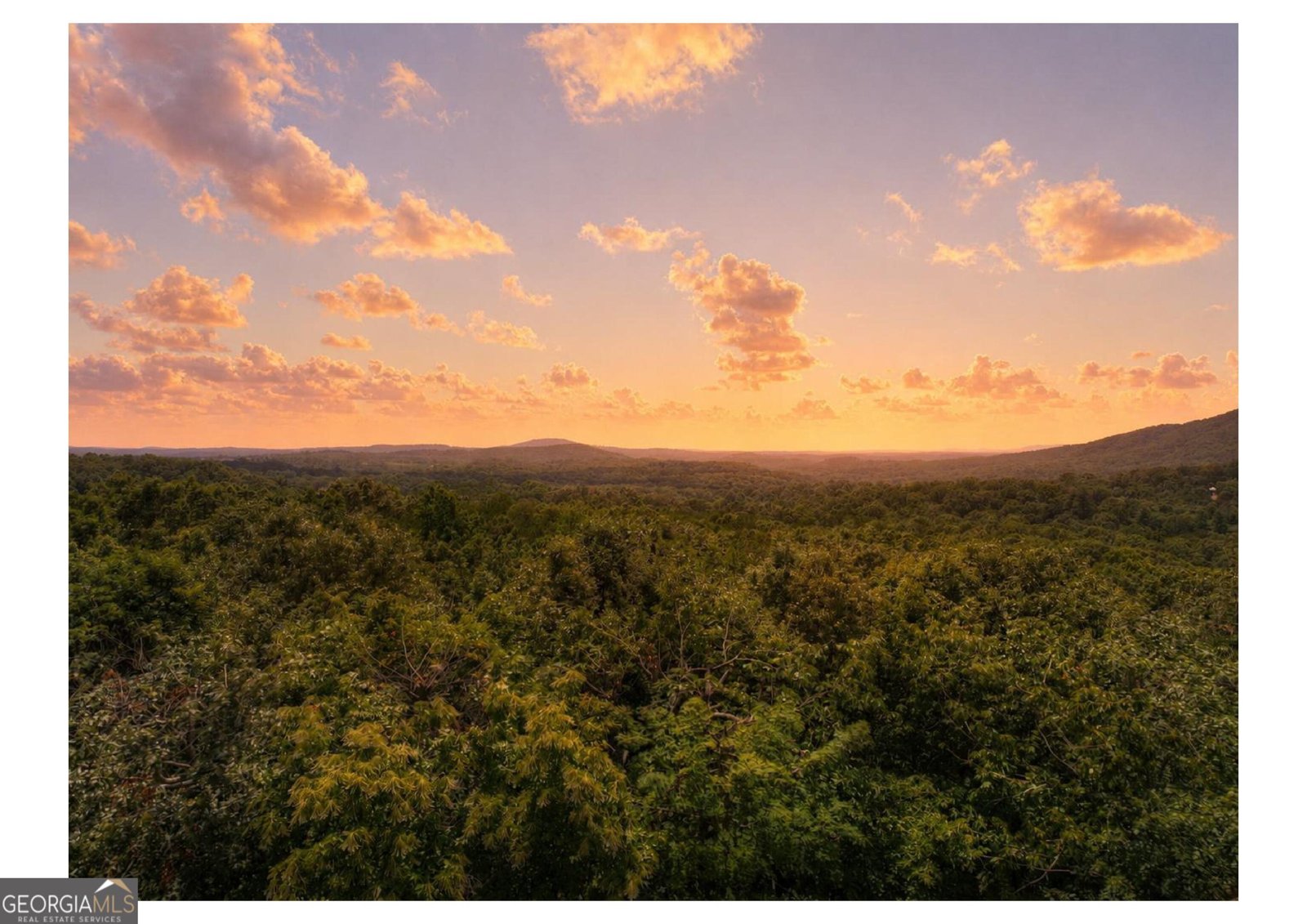 55 Beauregards Knob Ellijay - Photo 80
