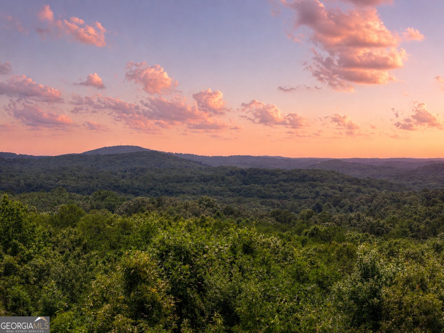 55 Beauregards Knob Ellijay - Photo 81