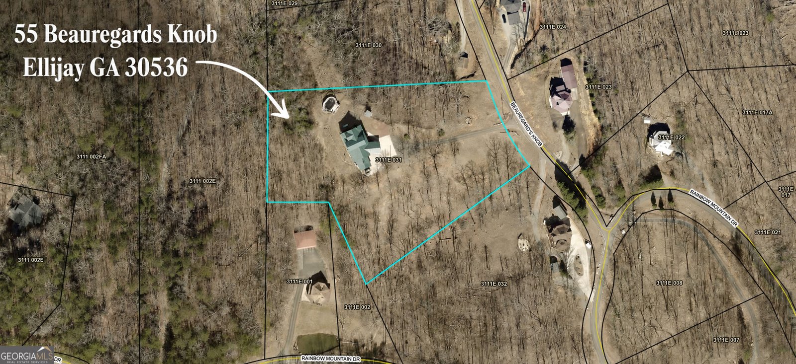 55 Beauregards Knob Ellijay - Photo 86
