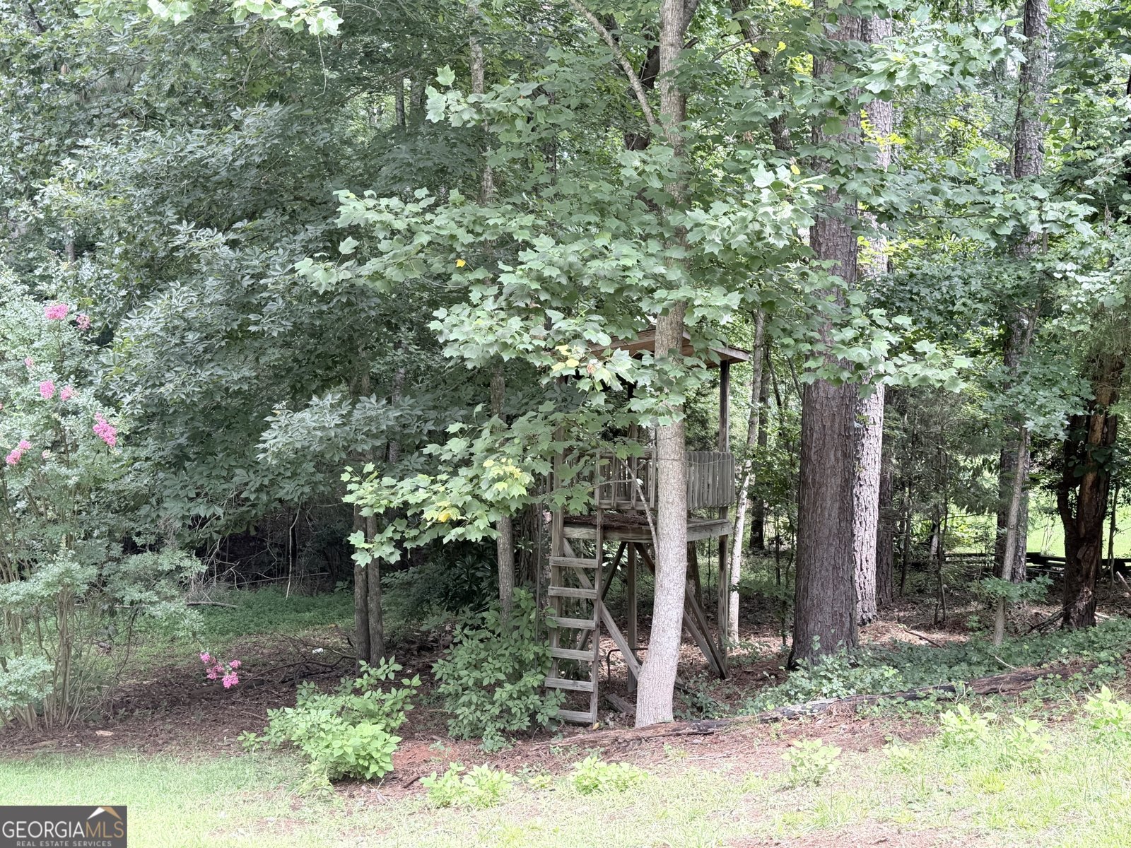 1912 Wildwood Court Conyers - Photo 52