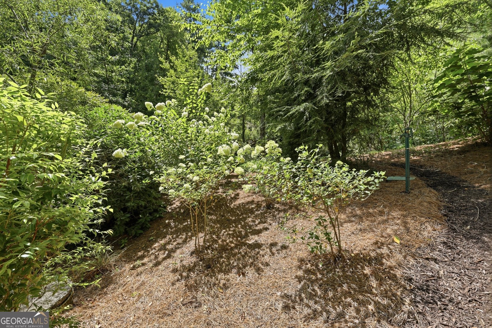 383 Bull Frog Lane Clayton - Photo 23