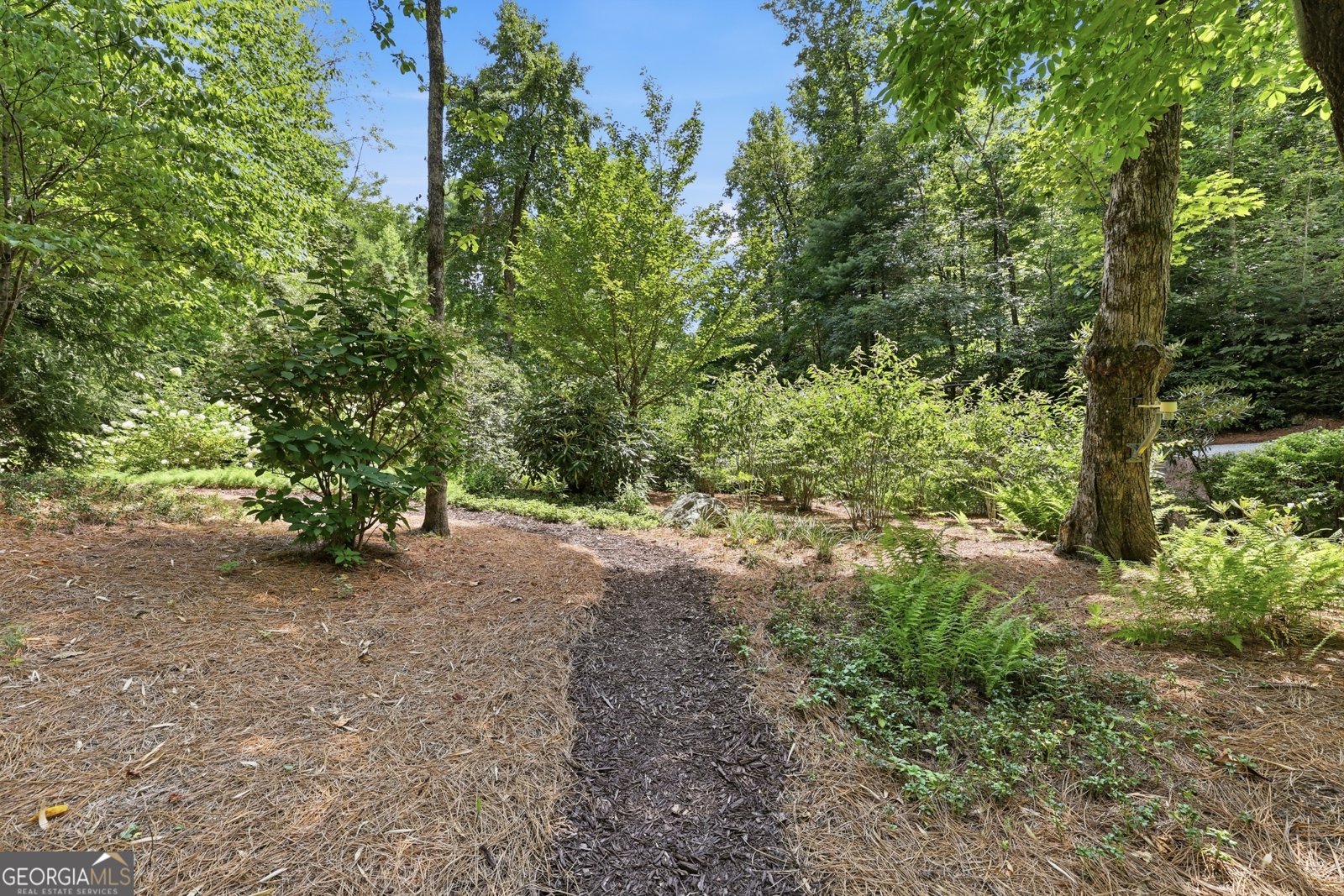 383 Bull Frog Lane Clayton - Photo 26