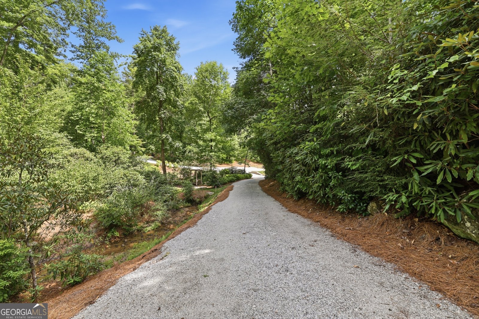 383 Bull Frog Lane Clayton - Photo 43