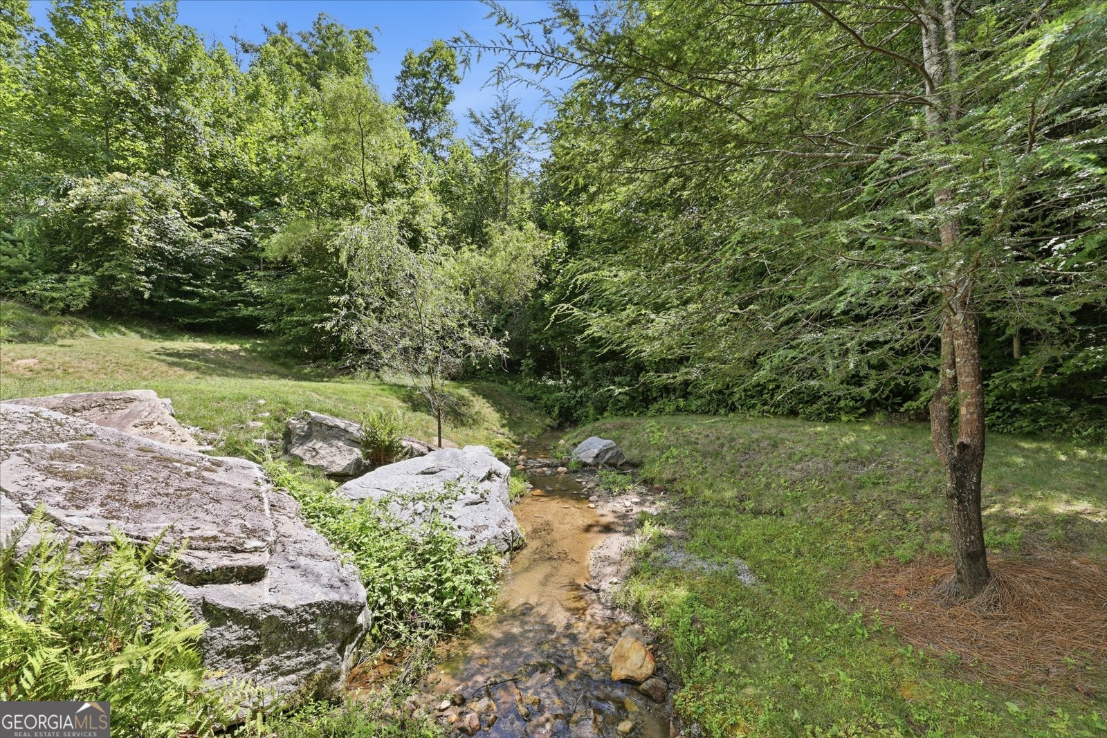 383 Bull Frog Lane Clayton - Photo 9