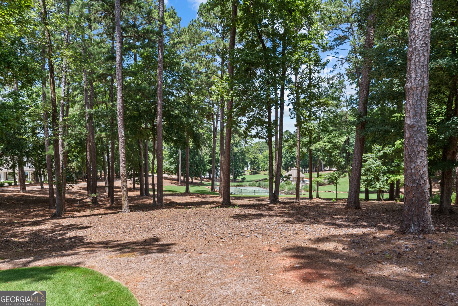 1041 Terrell Circle Greensboro - Photo 59