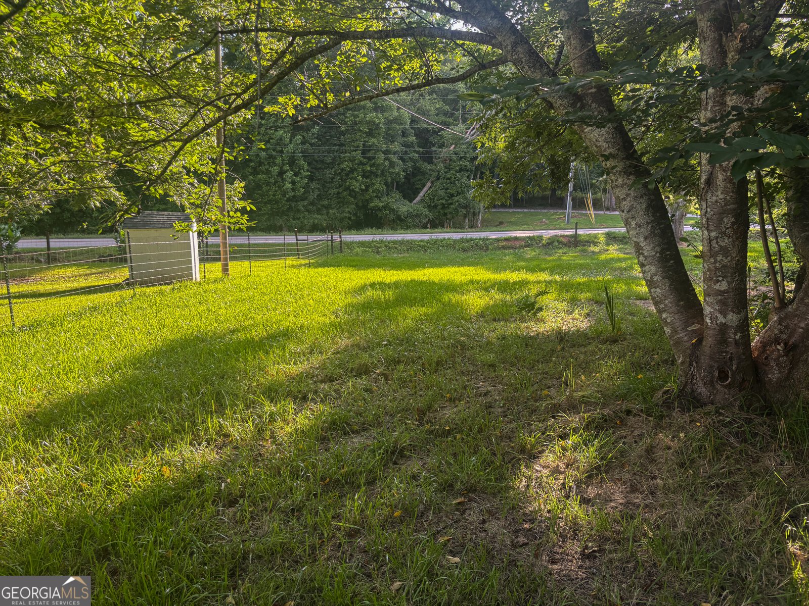 2282 Ga Highway 11 Hillsboro - Photo 8