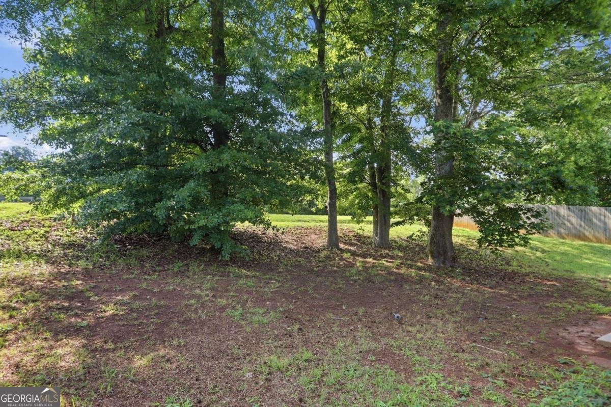 2003 Reflective Waters Road Villa Rica - Photo 53