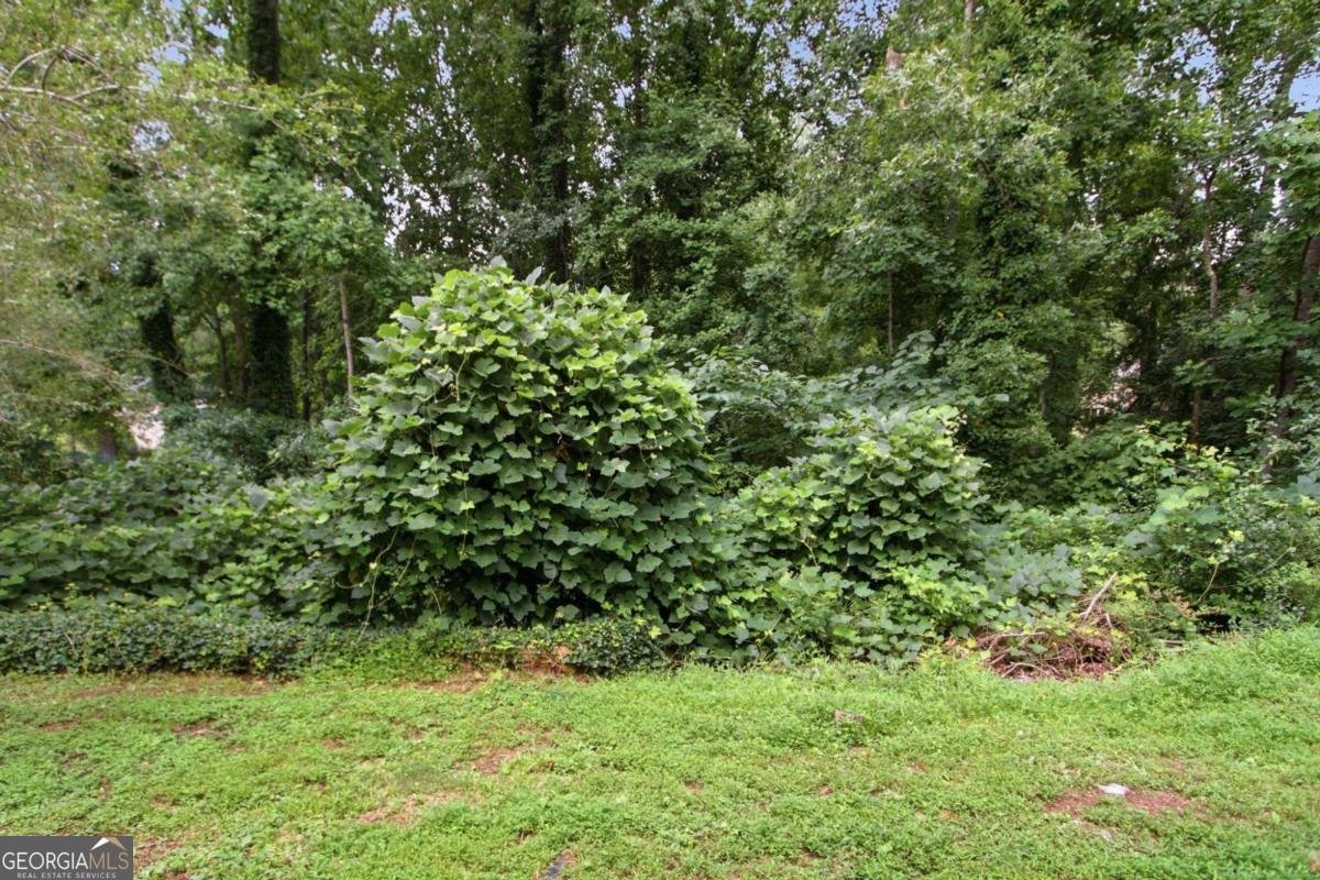 100 Overlook Heights Way Stockbridge - Photo 38