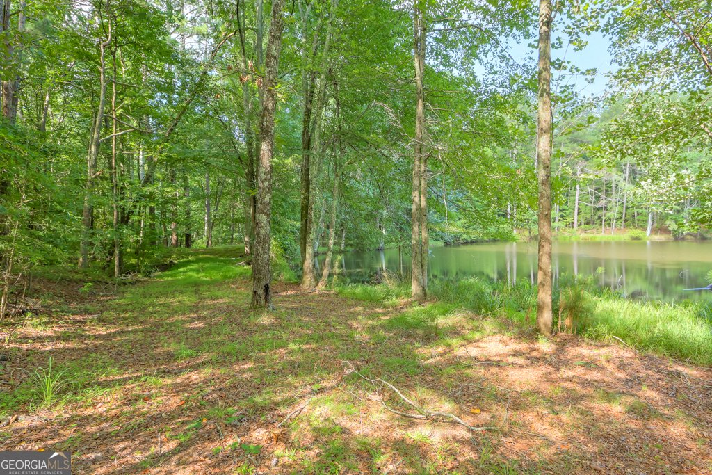 230 Bethel Church Road Hiram - Photo 16