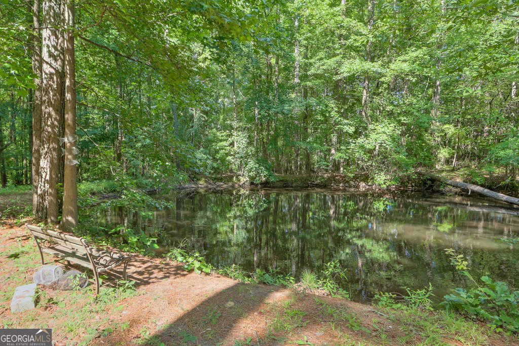 230 Bethel Church Road Hiram - Photo 17