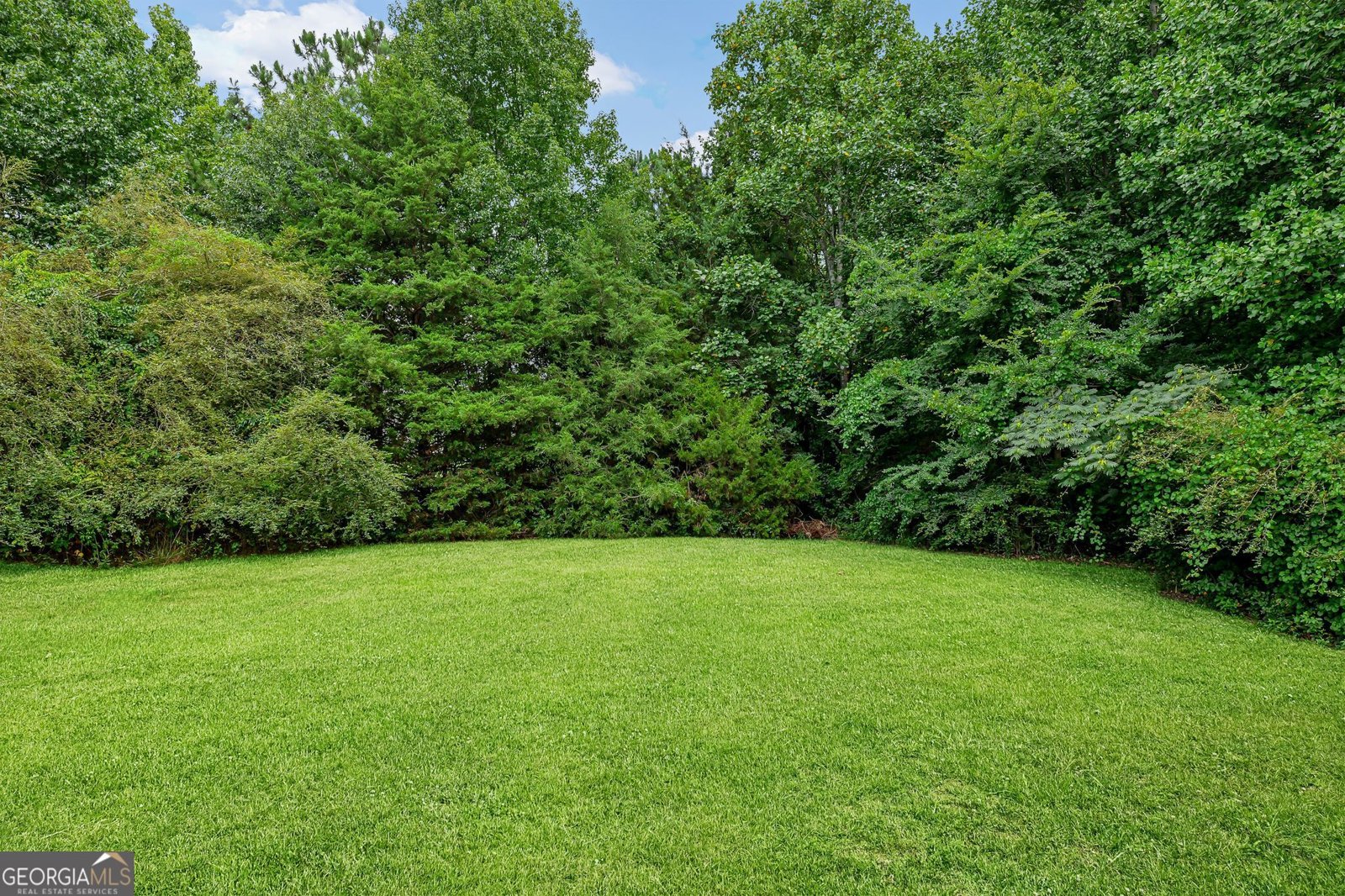 1690 Cotton Wood Court Hampton - Photo 26