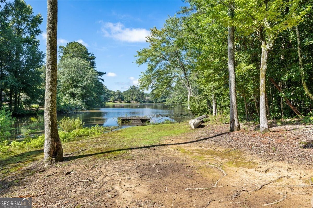 12505 King Road Roswell - Photo 77