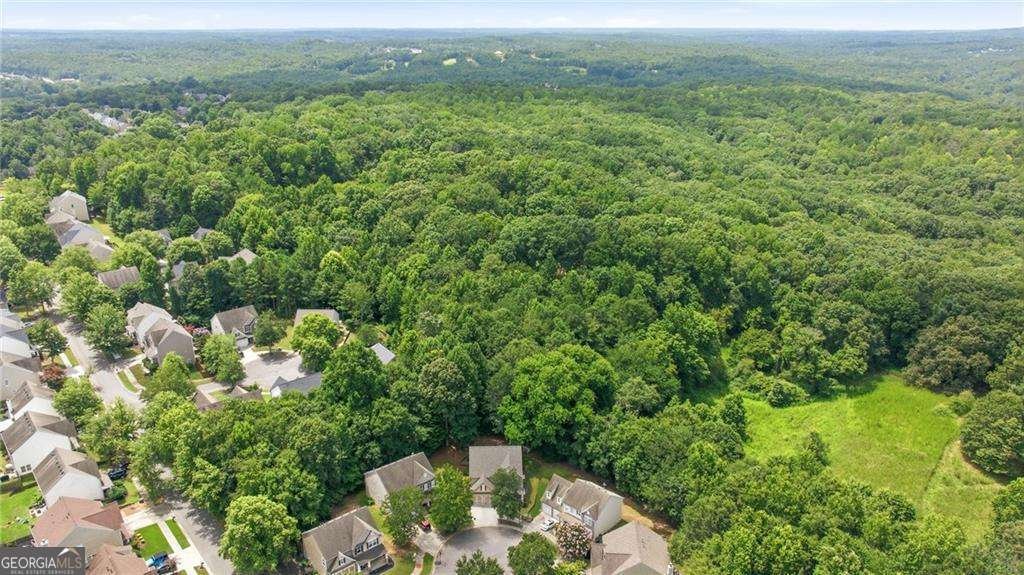 943 Island Cove Way Buford - Photo 42