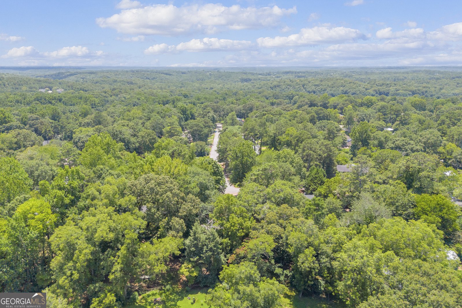 295 Vista Drive Athens - Photo 49