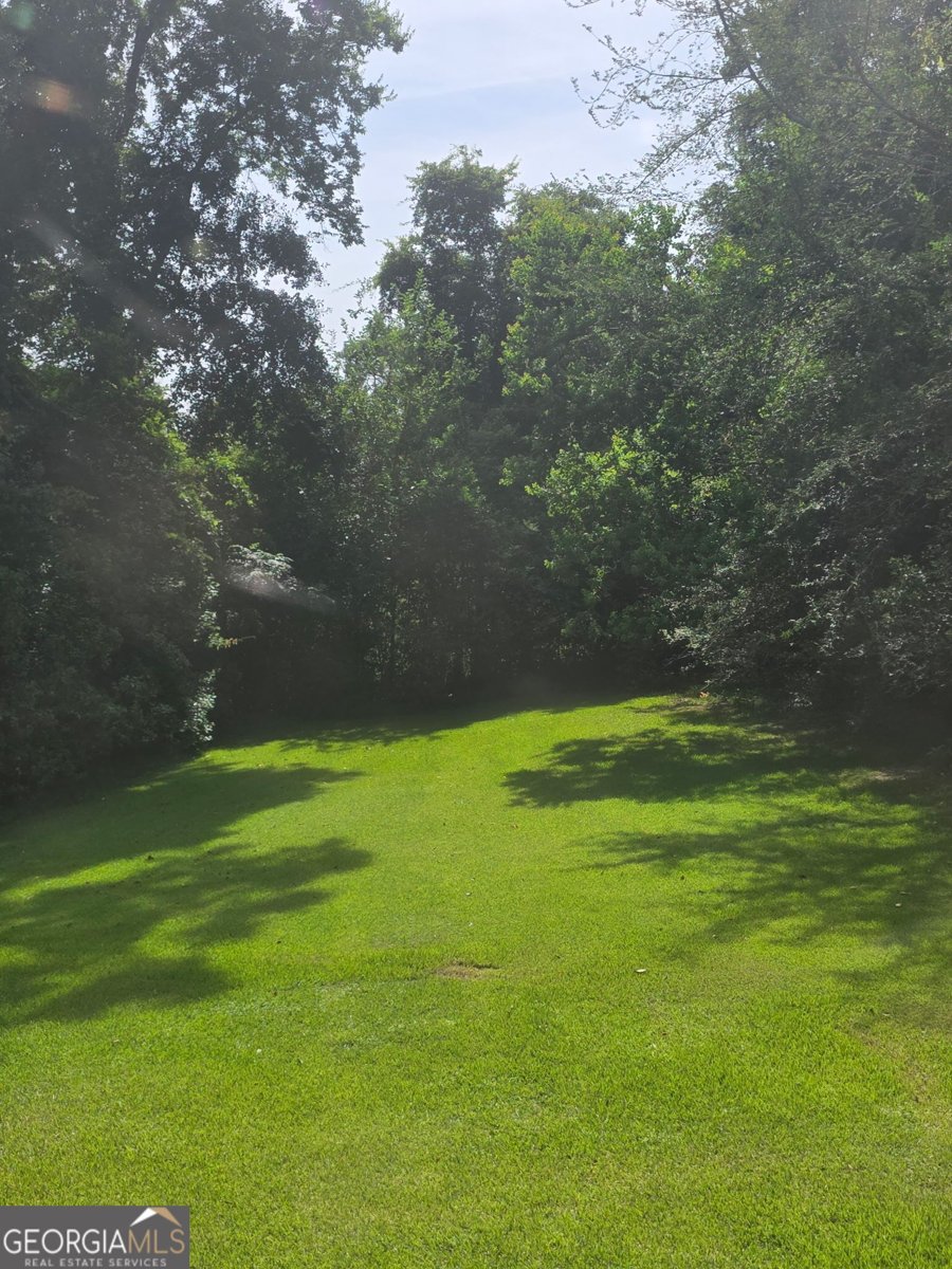 819 Corbin Avenue Macon - Photo 10