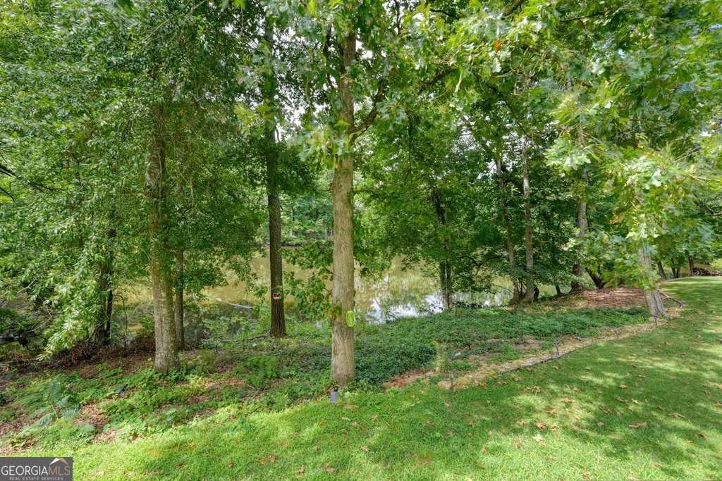 320 India Lane Canton - Photo 38