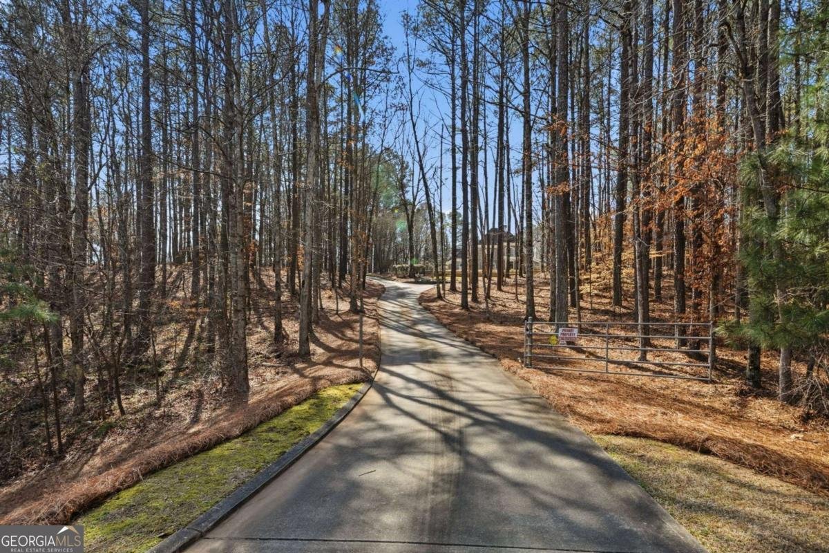 2785 Sixes Road Canton - Photo 78