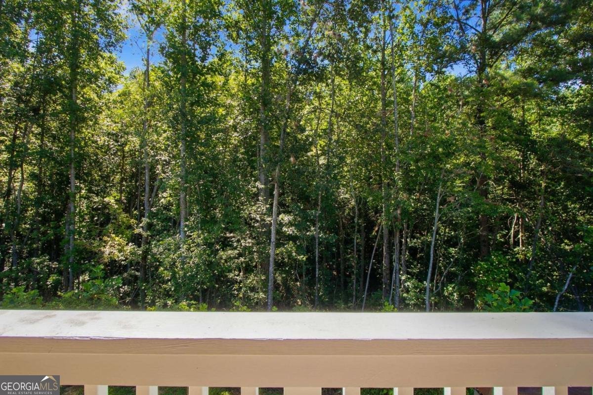 303 Salem Church Road Dawsonville - Photo 54